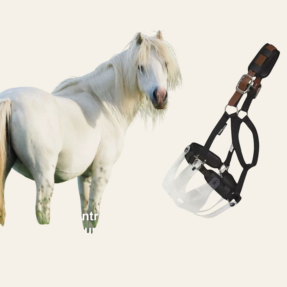 ThinLine Flexible Filly Grazing Muzzle - Equisafety