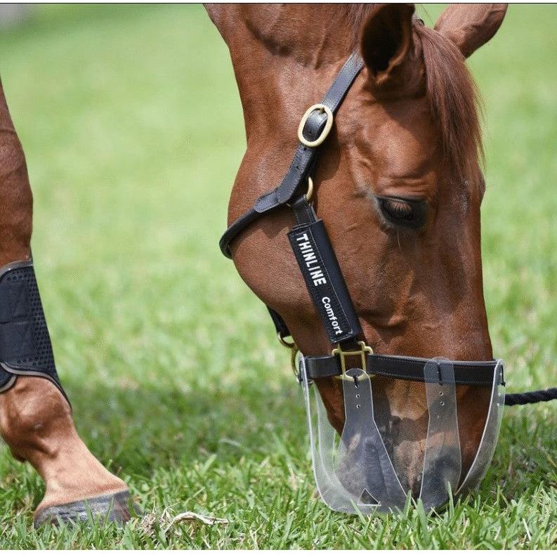 ThinLine Flexible Filly Grazing Muzzle - Equisafety