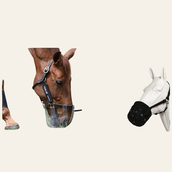 ThinLine Flexible Filly Grazing Muzzle - Equisafety