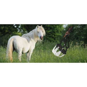 ThinLine Flexible Filly Grazing Muzzle - Equisafety