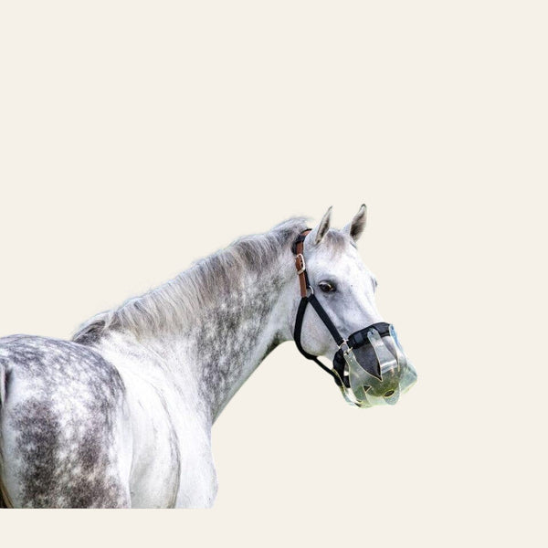 ThinLine Flexible Filly Grazing Muzzle - Equisafety