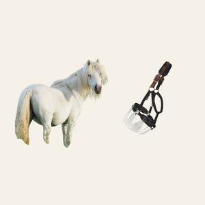 ThinLine Flexible Filly Grazing Muzzle - Equisafety