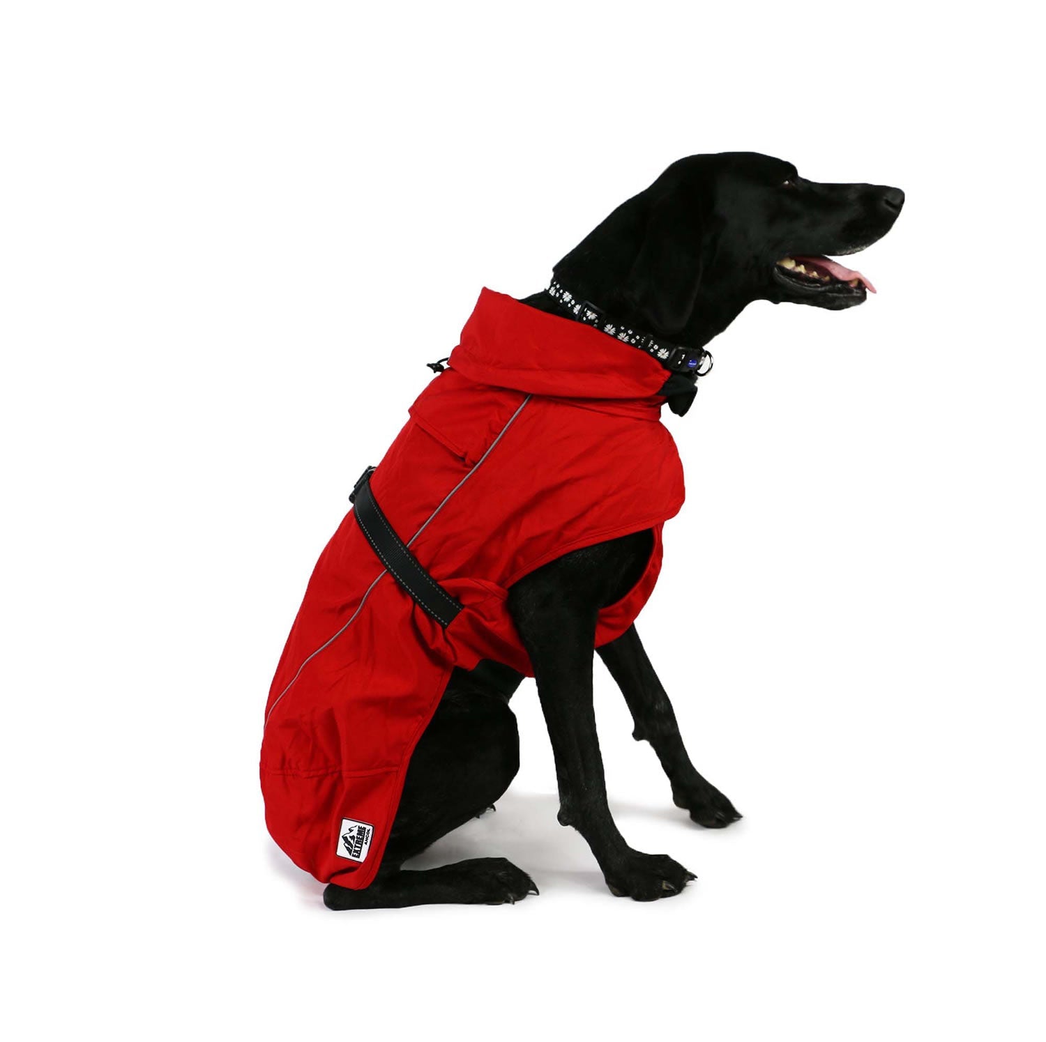 Waterproof Dog Rug RED - Equisafety