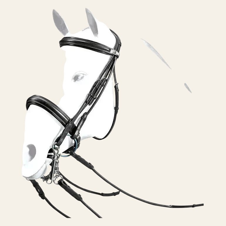 WEYMOUTH PATENT DETAIL ROLLED WITH REINS - Black - Cob OR XFull - Equisafety