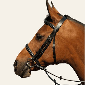 Equisafety whitaker flash bridle black