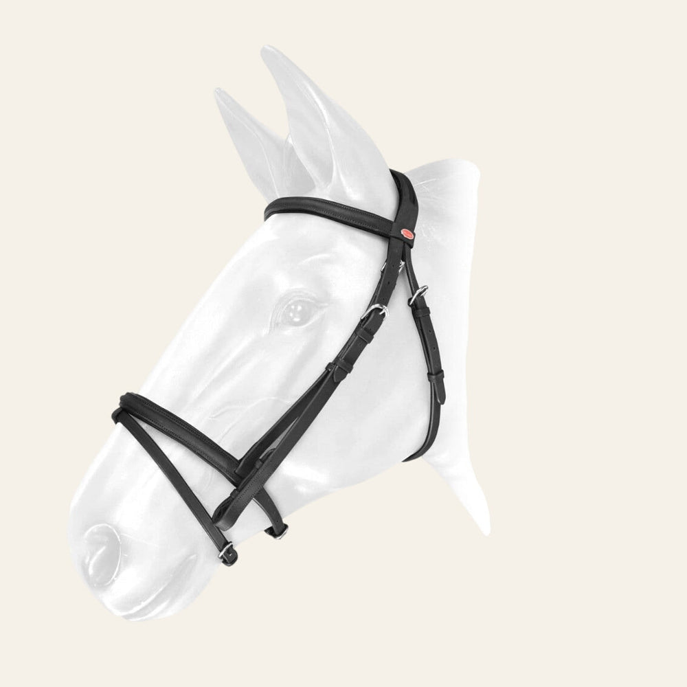 Whitaker Flash Bridle - BLACK - Equisafety