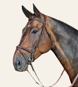 Whitaker Flash Bridle - BROWN - Equisafety