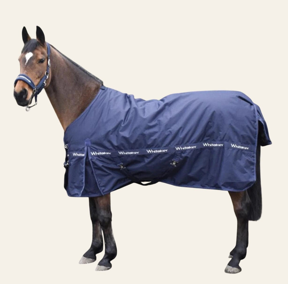 WHITAKER KIRKBY 100G TURNOUT RUG NAVY - Equisafety