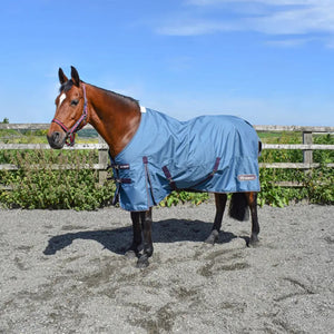 Whitaker Lupin Turnout Rug 100g Teal - 6ft3 only - Equisafety