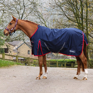 Whitaker Turnout Rug 200g - Rastrick - navy - 6ft6 only - Equisafety