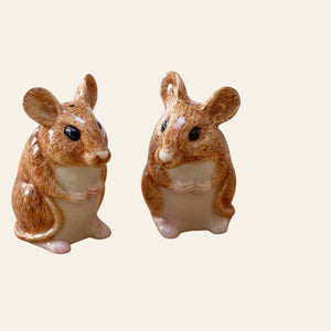 Wood Mouse Salt and Pepper pots - Equisafety