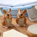 Wood Mouse Salt and Pepper pots - Equisafety