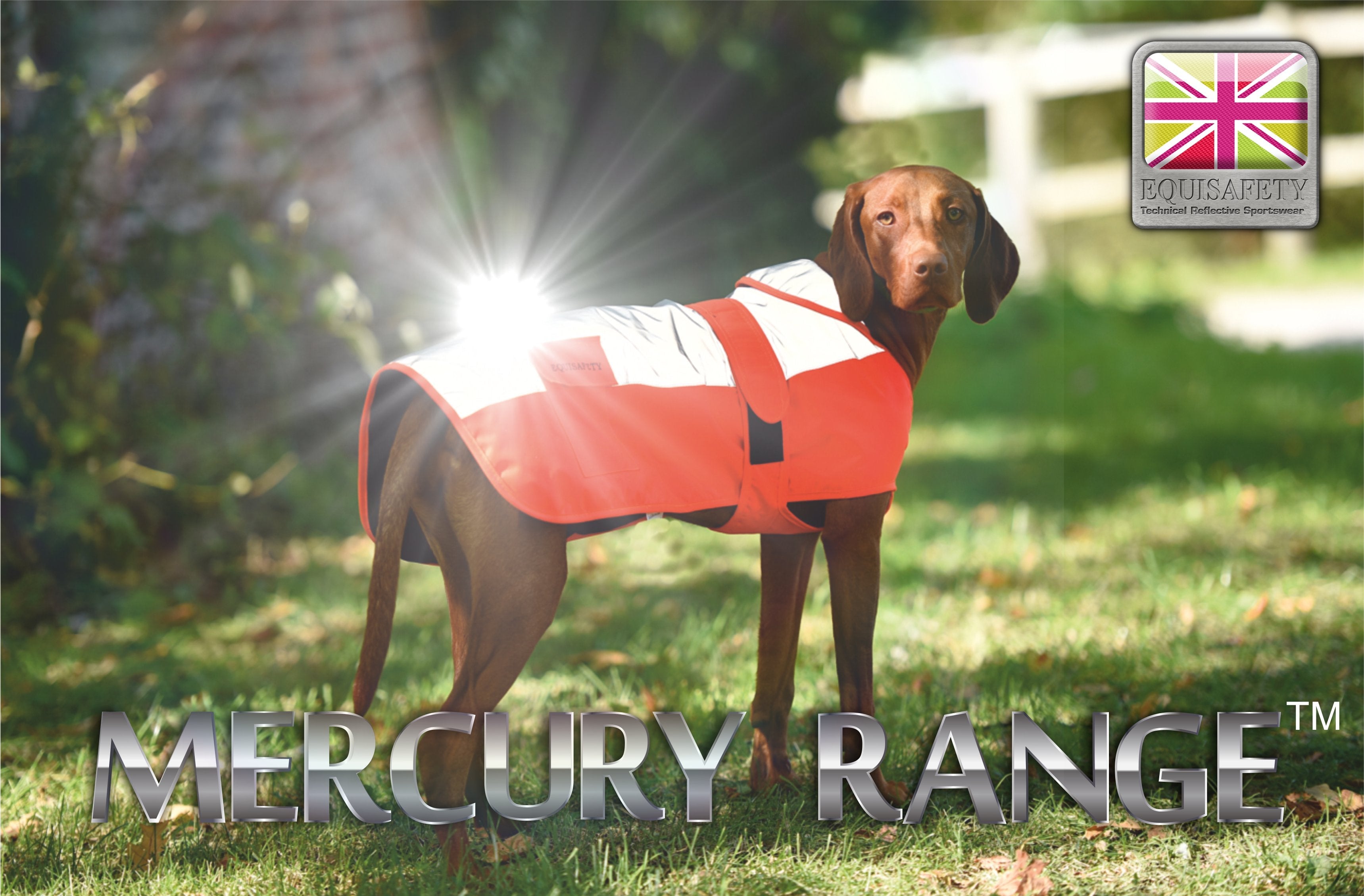 Equisafety Reflective Mercury Dog Rug - Red/Orange