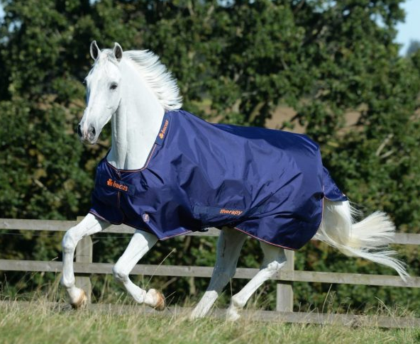 Bucas Therapy Turnout Rug 300G - Horse - Navy/Orange