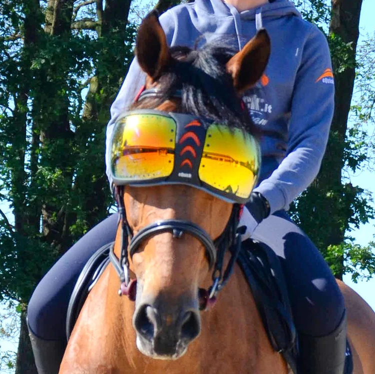 eQuick eVysor Horse Mask - Horse Comfort - Mirrored Orange