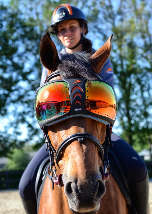 eQuick eVysor Horse Mask - Horse Comfort - Mirrored Rainbow