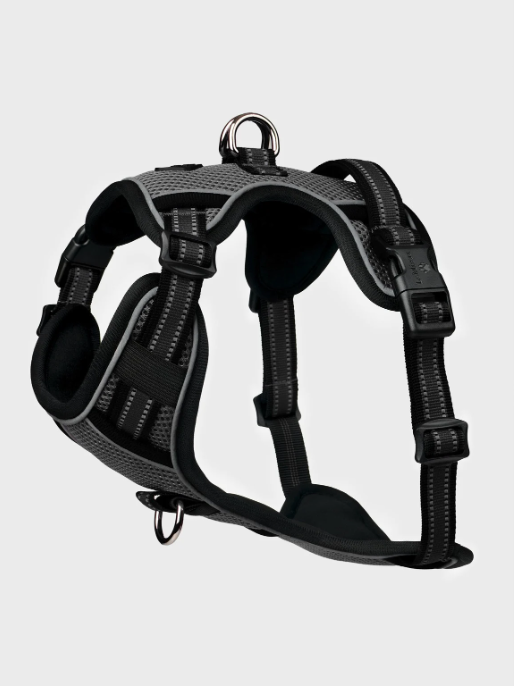 Le Mieux Winchester Dog Harness Black