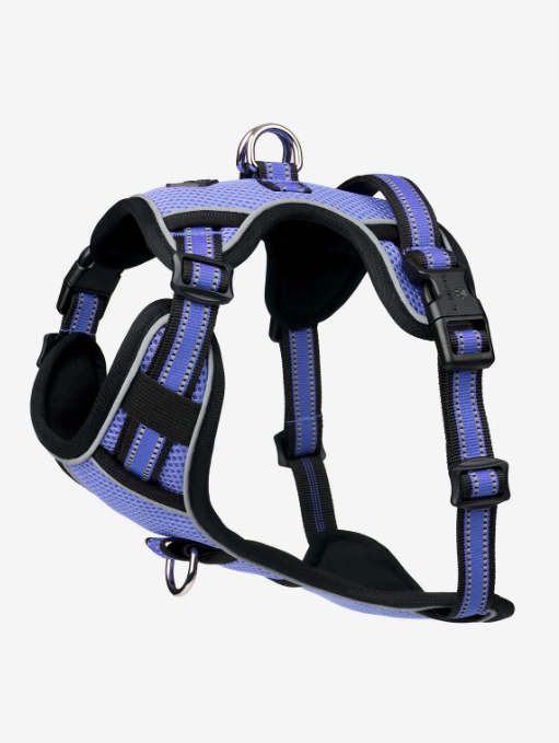 Le Mieux Winchester Dog Harness Bluebell