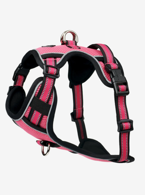 Le Mieux Winchester Dog Harness Watermelon