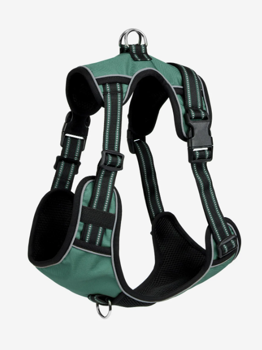 Le Mieux Wellow Dog Harness Sage