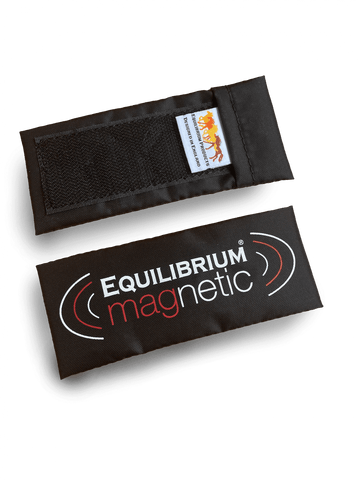 Equilibrium Spare Magnets - 4 x Short