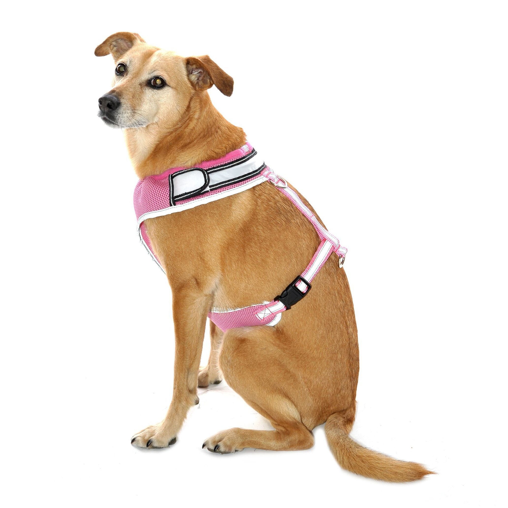 Equisafety LED Flashing Hi Vis Reflective Dog Harness -P