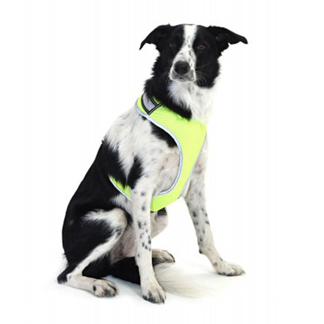Equisafety LED Hi Vis Reflective Dog Harness  Small - Yellow 